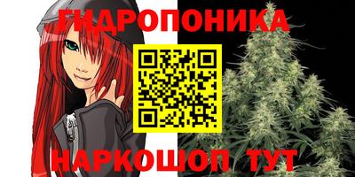 спиды Вязьма